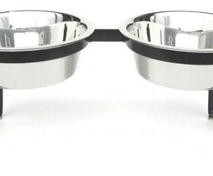 Visions Double Elevated Dog Bowl